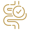Ícone do trato digestivo humano com um sinal de "check" em um círculo, indicando saúde intestinal ou exames concluídos.